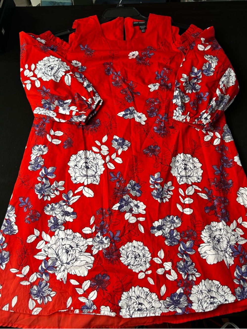 Maggy London Red Floral Dress with Blue and White Accents